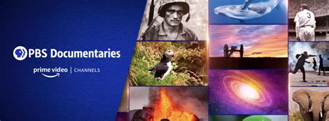 www.prbs online.org|Explore PBS Videos & Documentaries .